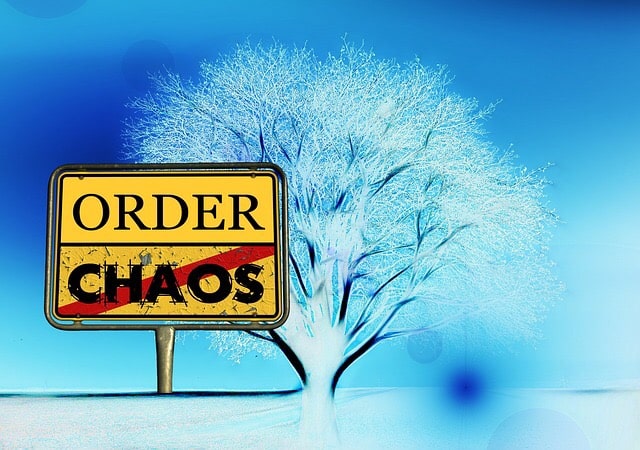"Chaos over Order" yellow sign displayed next to a winter tree