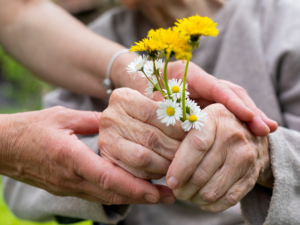 dementia care homes renton